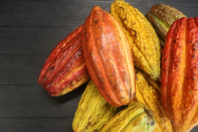Imported dried fruit and checks on entry into the Union