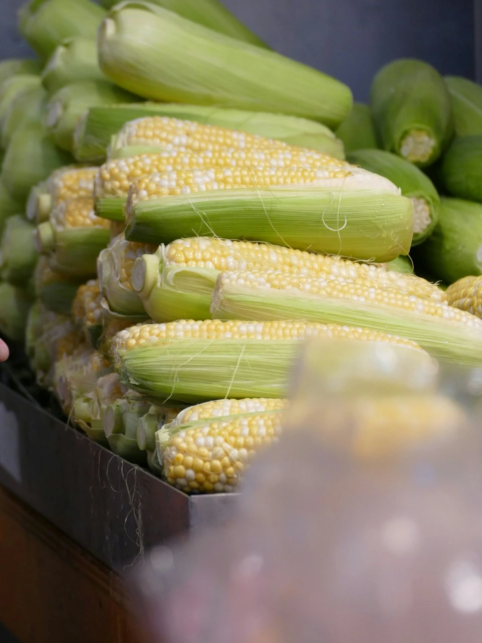 Maize and cereals subject to phytosanitary controls