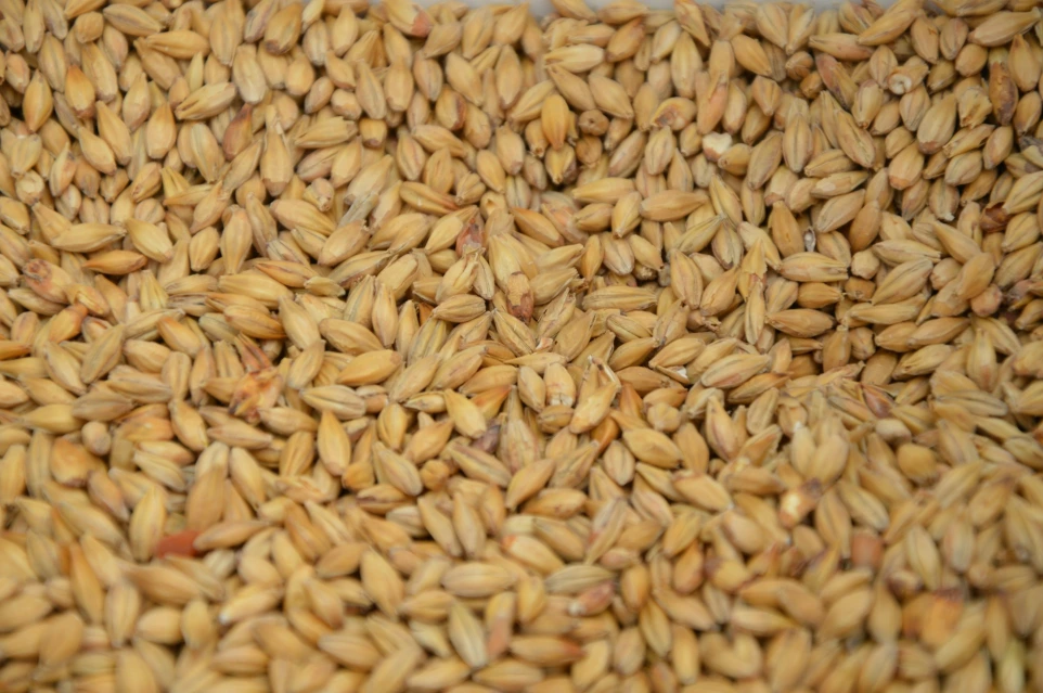 Imported rice and verification of the declared origin