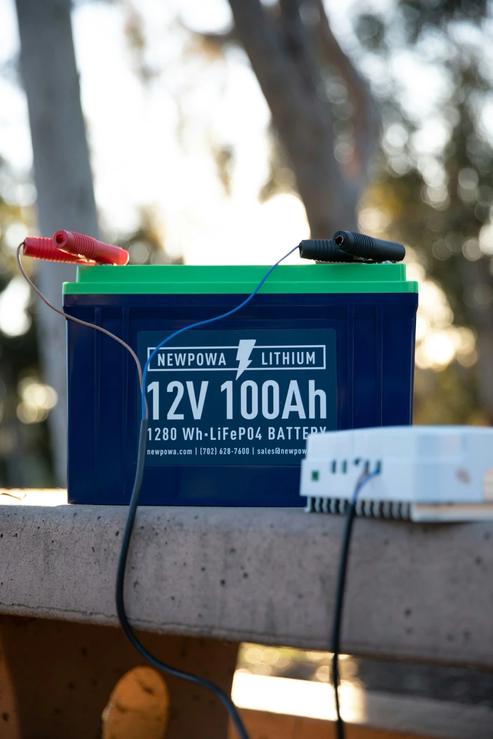 Batteria e caricabatterie importati nell'Unione europea